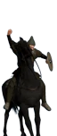 Mounted Sword Raiders