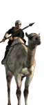 Camel Lancers