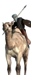 Camel Warriors