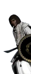 Afar Raidmasters
