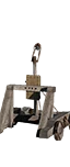 Onager