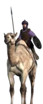 Tuareg Camel Spearmen