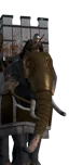 Armoured Indian Elephants