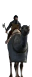 Camel Clibanarii