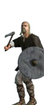 Axe Heerbann