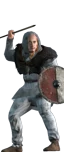 Nordic Brigands