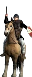 Nordic Raiders