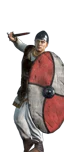 Nordic Warriors