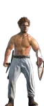 Norse Berserkers