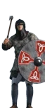 Viking Captain