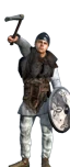 Viking Raiders