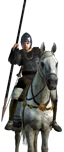 Contarii