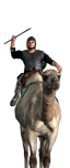 Imperial Dromedarii