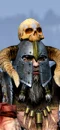 Marauder Chieftain