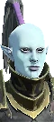 Druchii Anointed