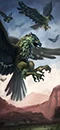 Great Hawks