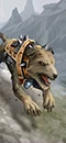Hunting Hounds