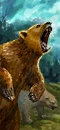 Feral Bears