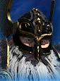 Byrrnoth Grundadrakk